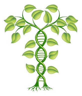 DNA plant concept clipart