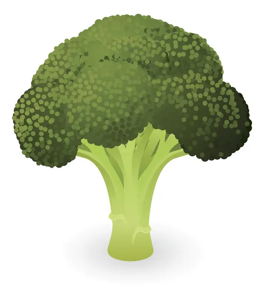 Ilustración de brócoli — Archivo Imágenes Vectoriales