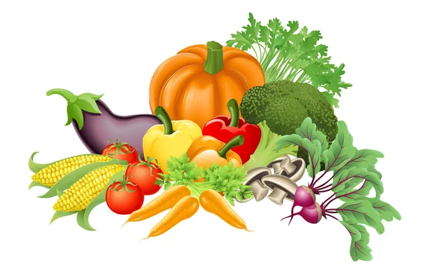 Tasty vegetables illustration — Stock Vector