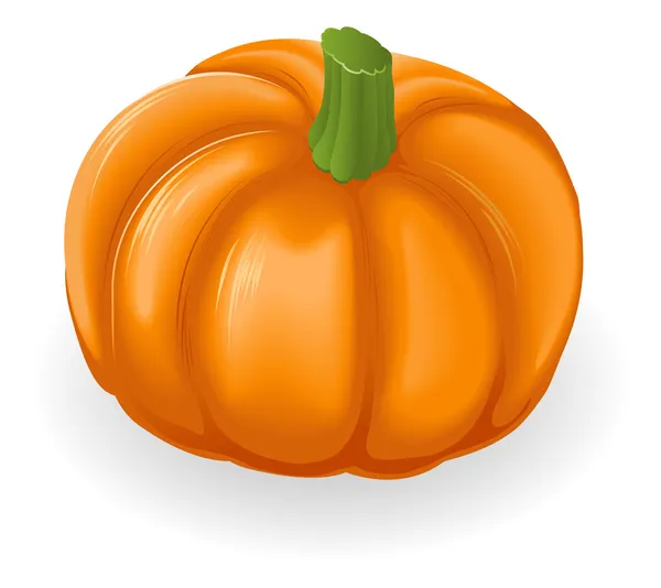 Pumpkin Illustration — Stock Vector
