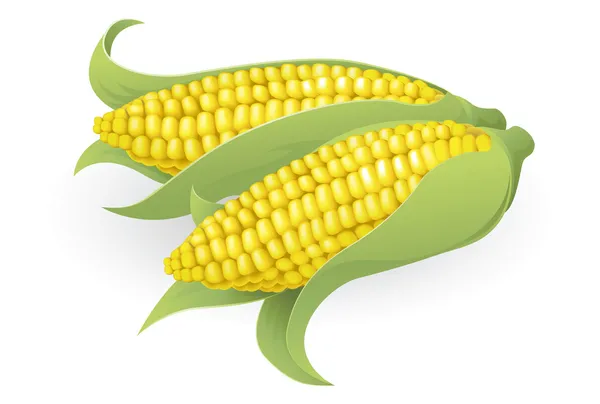 Illustration savoureuse de maïs doux — Image vectorielle