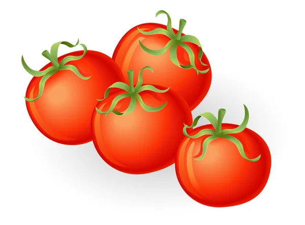 西红柿的插图 — 图库矢量图片