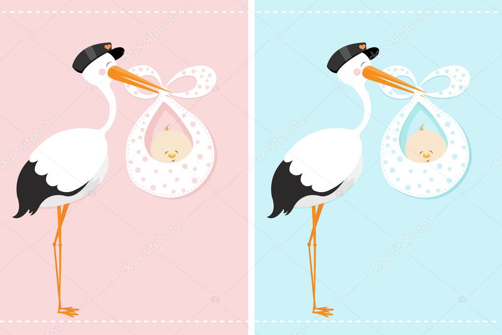 Stork Delivering A Newborn