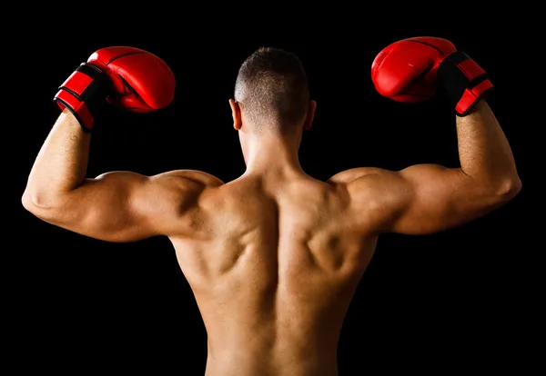 Boxeador levantando sus brazos —  Fotos de Stock