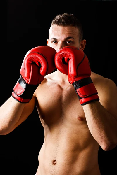Boxer in guard position — Stock Photo, Image