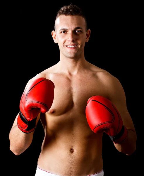 Boxer portrait — Stock Photo, Image