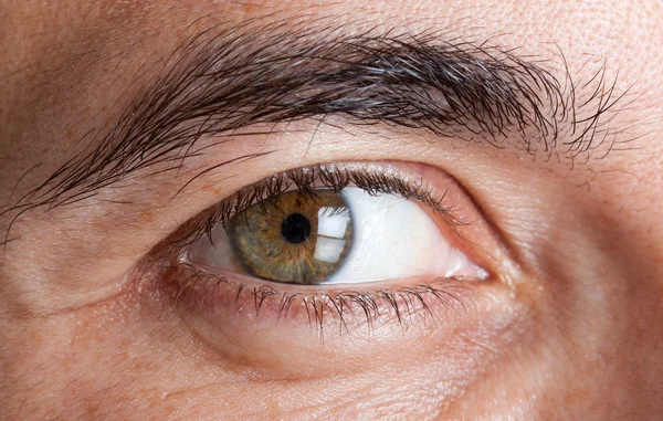 Erkeklerin yeşil gözünün makro görüntüsü — Stok fotoğraf