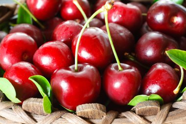 Fresh cherries clipart