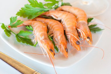 Tiger shrimps clipart