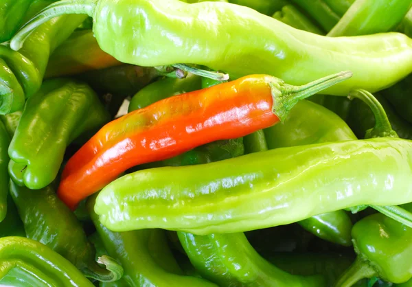 stock image Peppers