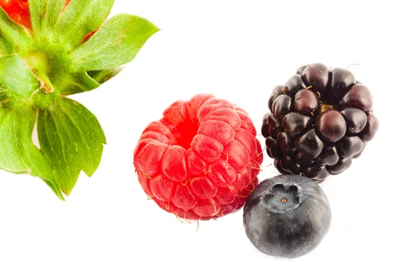 Fruta blanda — Foto de Stock