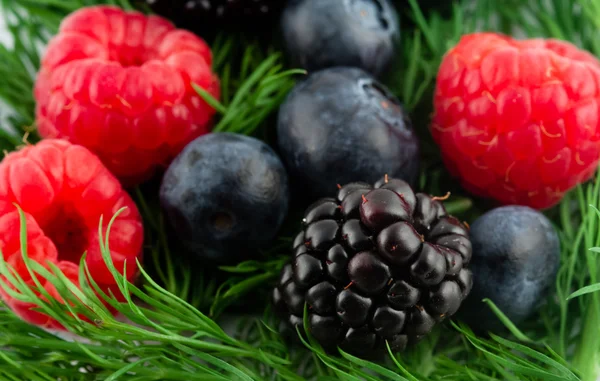Мягкие фрукты — стоковое фото