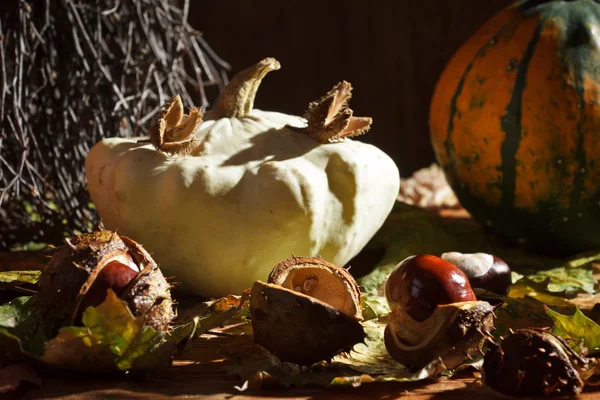 Composição de outono em larder vovó — Fotografia de Stock