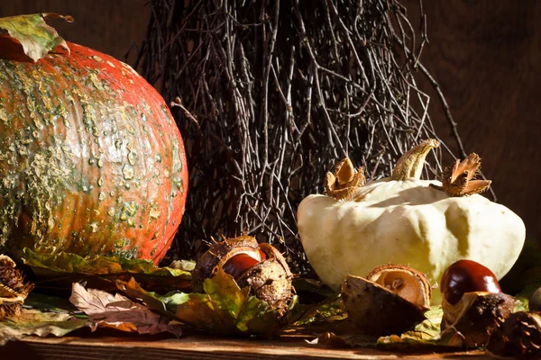 Herfst decoratie in vintage kelder — Stockfoto