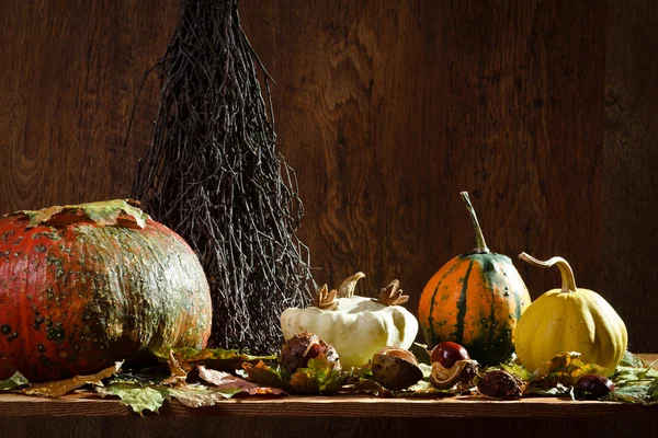Decoração de outono na prateleira velha na adega vintage — Fotografia de Stock