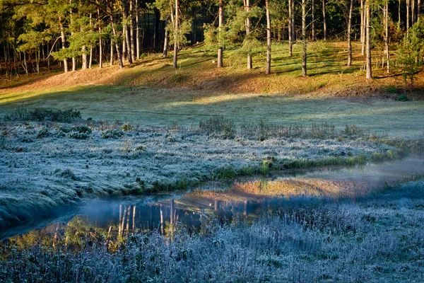 Salida del sol en el prado congelado en otoño — Foto de Stock