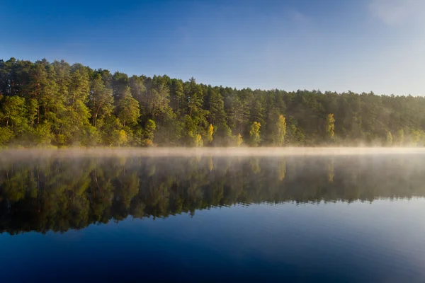 Осенью отражение леса в озере — стоковое фото
