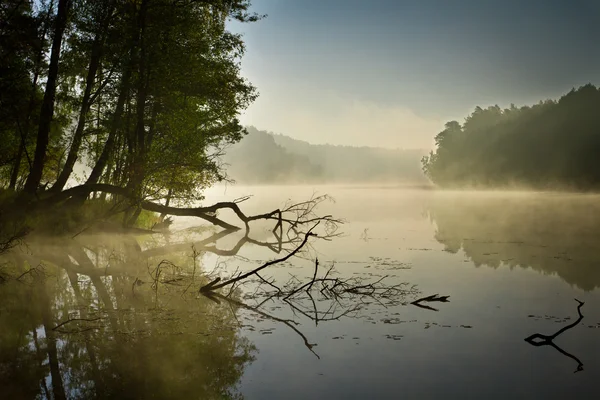 Mgła i jeziora na wschód w jesieni — Zdjęcie stockowe
