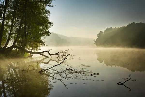 Gün doğumunda gölün üzerinde sis var. — Stok fotoğraf