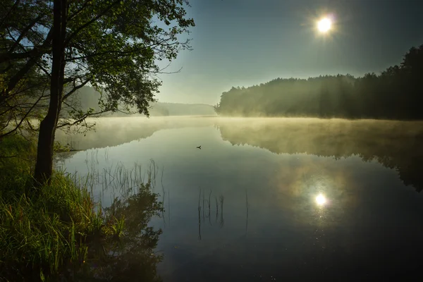 Sunrise at foggy lake in autumn — Stock Photo, Image