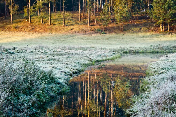 Sunrise at frozen meadow in fall — Stock Photo, Image