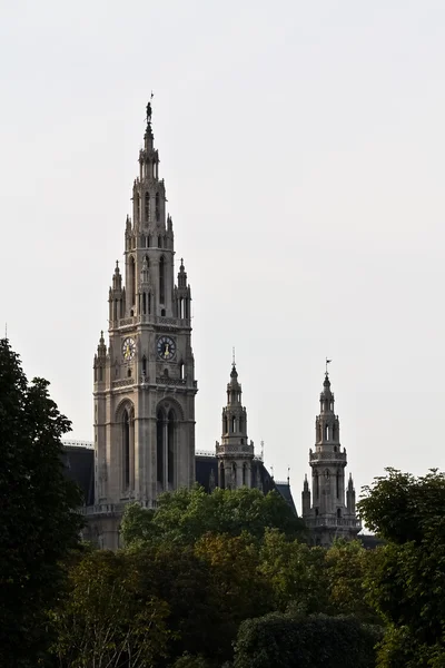 Vienna city hall — Stock Photo, Image