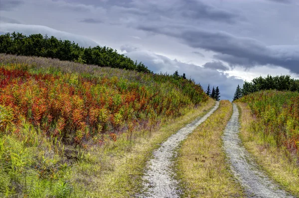 Деревенская дорога осенью — стоковое фото