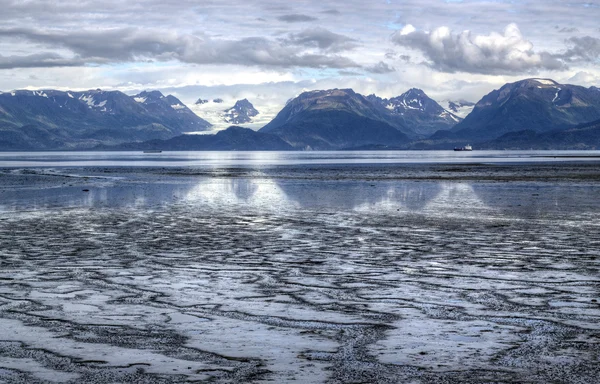 Düşük tide koyunda çamur — Stok fotoğraf