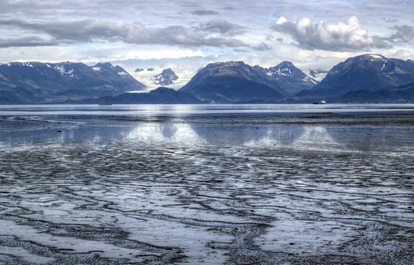 Mud bay bij eb — Stockfoto