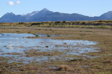 Wetlands near the Kachemak Bay clipart