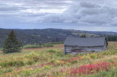 Remains of an old Alaskan homesteaders cabin in fall clipart