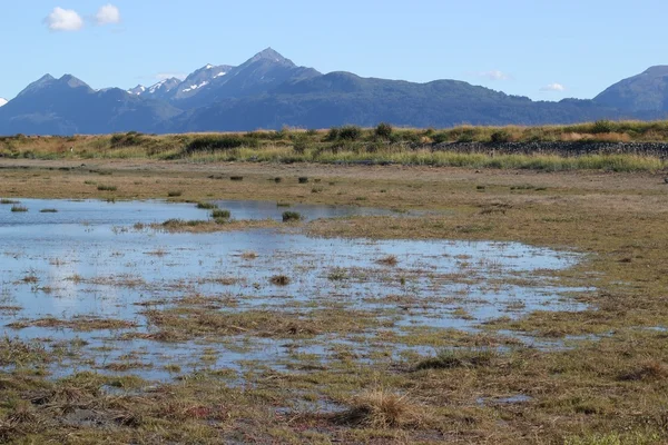 Wetlands near the Kachemak Bay — Stock Photo, Image