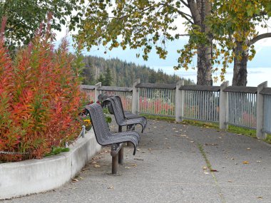 Park bench in fall at the overlook clipart