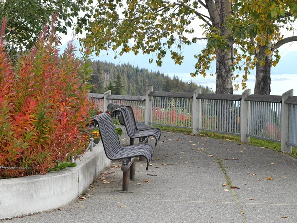 stock image Park bench in fall at the overlook