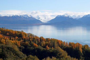 Glacier view across the bay in fall clipart