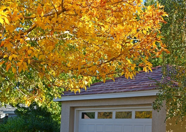 stock image Garage with fall colors