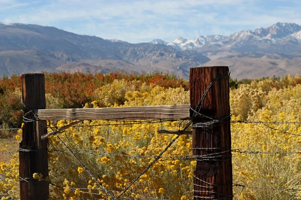 Boundaries of an Eastern Sierra Ranch — Stock Photo, Image