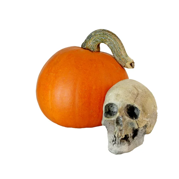 Skull and pumpkin, isolated — Stock Photo, Image