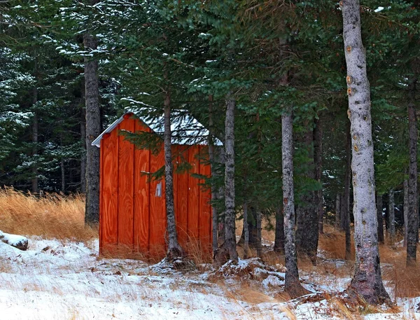 Alaskan bijgebouw in de sneeuw — Stockfoto