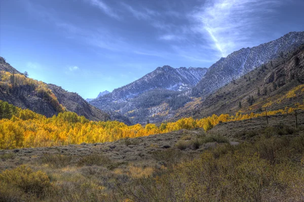 Fall in the Eastern Sierras — Stock Photo, Image