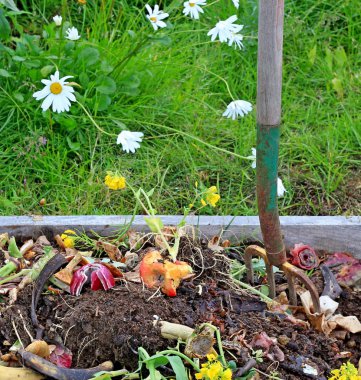 Compost pile with daisies clipart