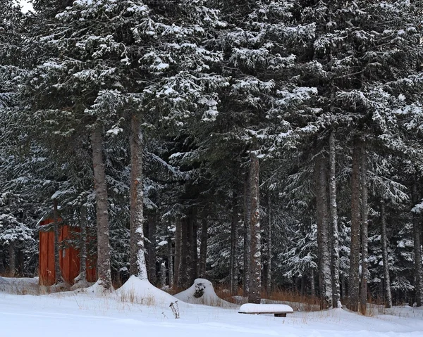 Outhouse e panchina nella neve — Foto Stock