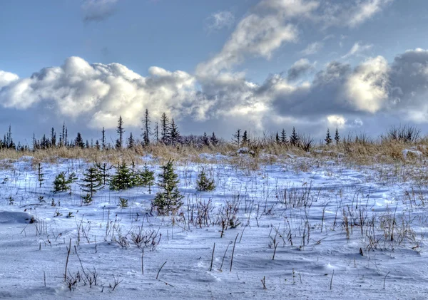 Aljašský krajina v zimě — Stock fotografie
