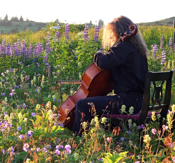 Práctica de violonchelo exterior en primavera — Foto de Stock