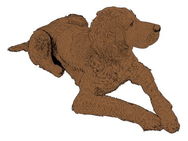 Hunting dog clipart