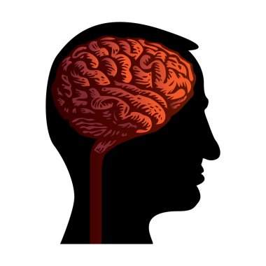 Brain inside clipart