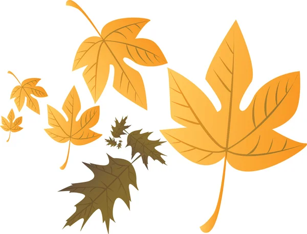 Podzimní listí — Stockový vektor