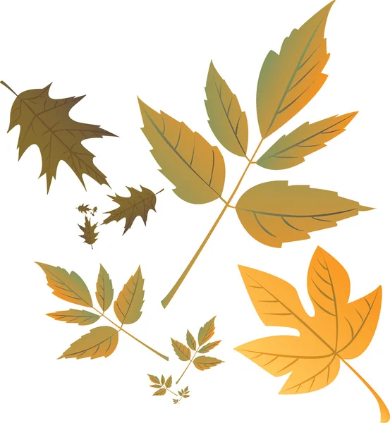 Efterårsblade – Stock-vektor