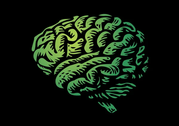 인간의 뇌 — 스톡 벡터