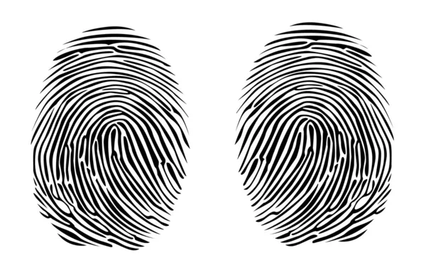 Two fingerprints — Stock Vector
